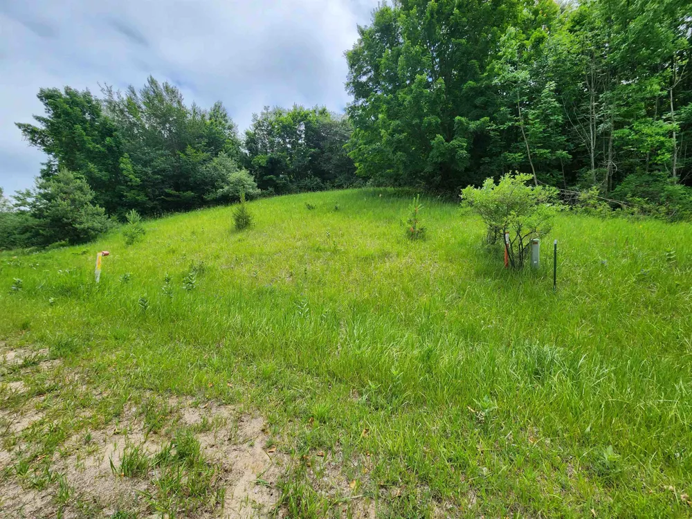 Deer Ridge Trail Lake Township, MI 49617
