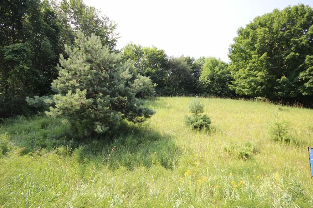 Deer Ridge Trail Lake Township, MI 49617