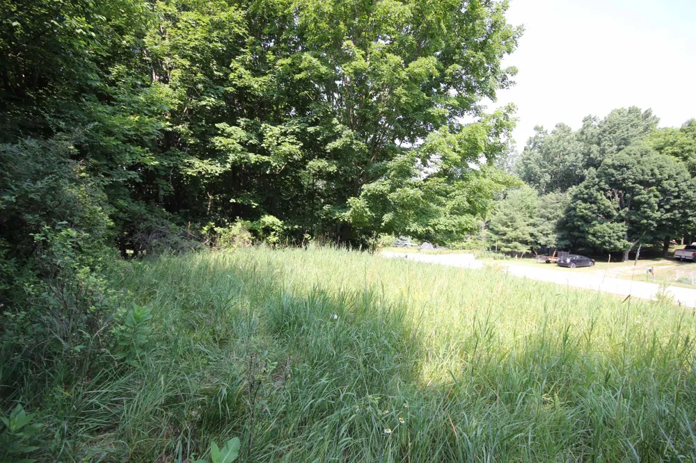 Deer Ridge Trail Lake Township, MI 49617