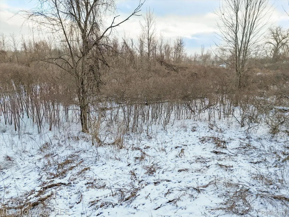 Corunna Rd Clayton Charter Township, MI 48473