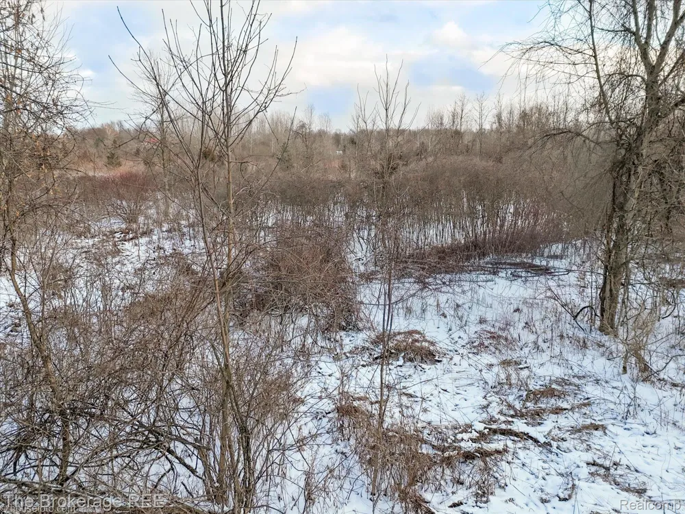 Corunna Rd Clayton Charter Township, MI 48473