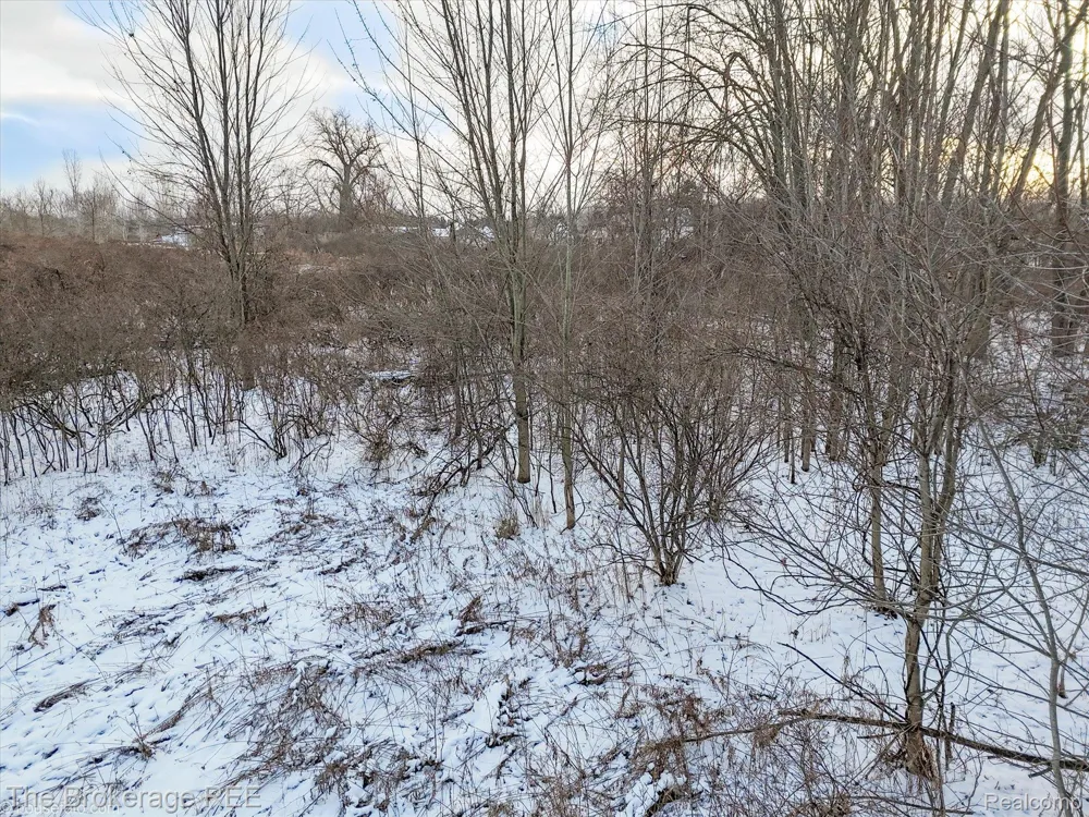 Corunna Rd Clayton Charter Township, MI 48473