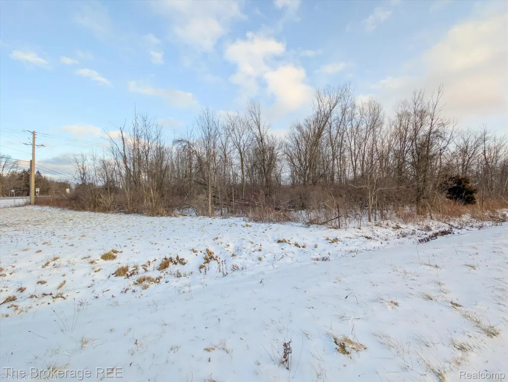 Corunna Rd Clayton Charter Township, MI 48473