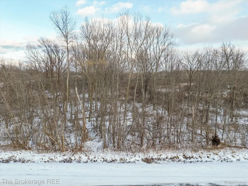 Corunna Rd Clayton Charter Township, MI 48473