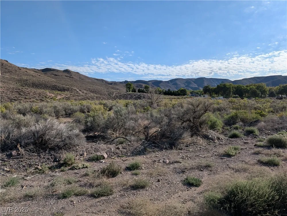 US Hwy 93 (19.14 Ac) Caliente, NV 89008