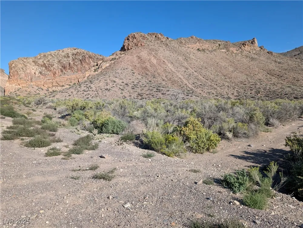 US Hwy 93 (19.14 Ac) Caliente, NV 89008