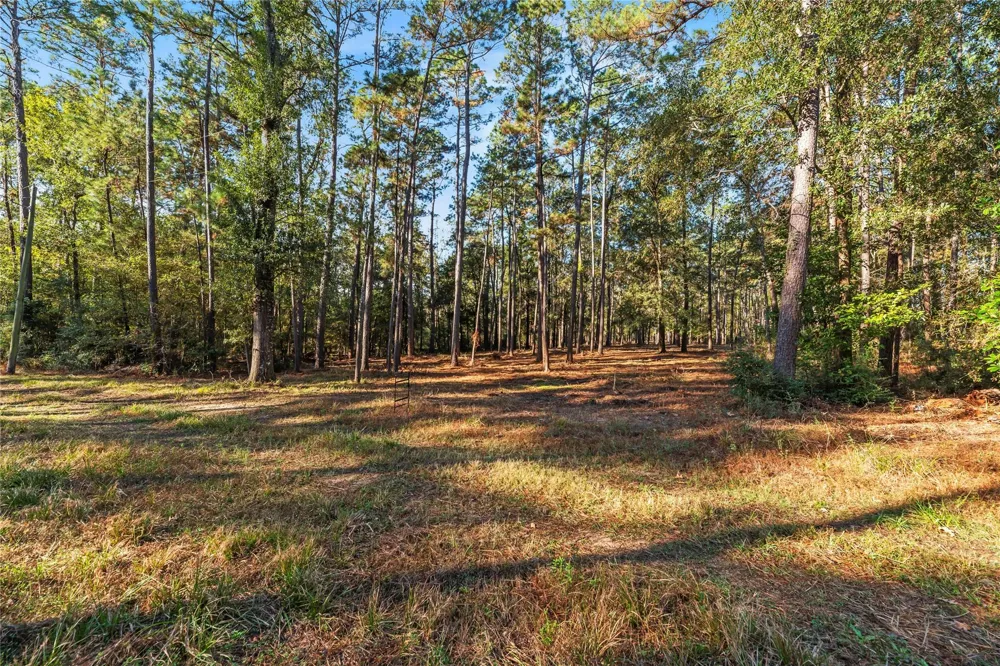 Fm 1485 Huffman, TX 77357