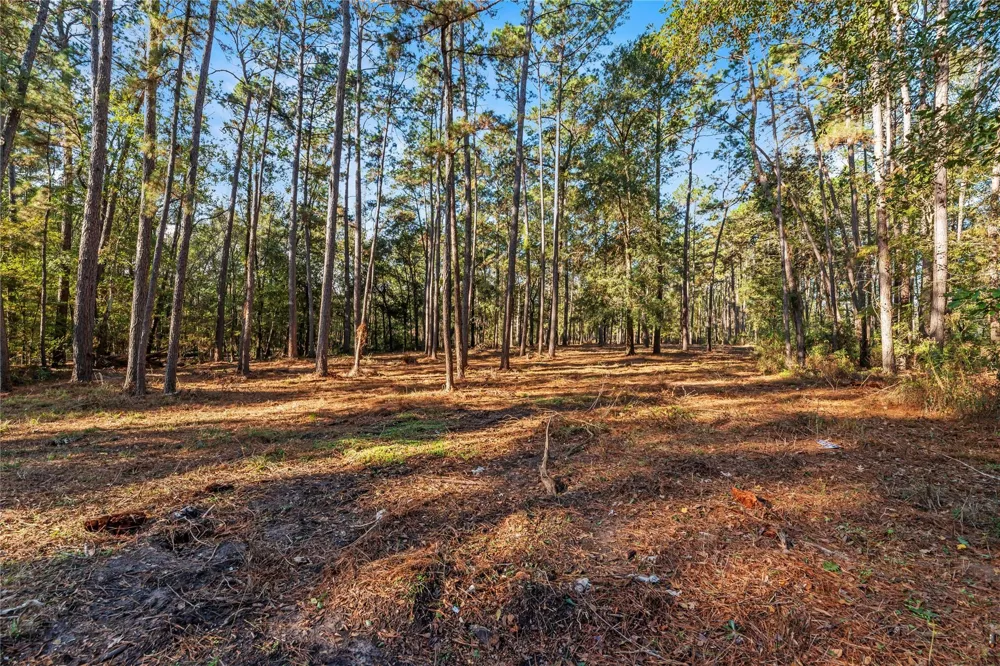Fm 1485 Huffman, TX 77357