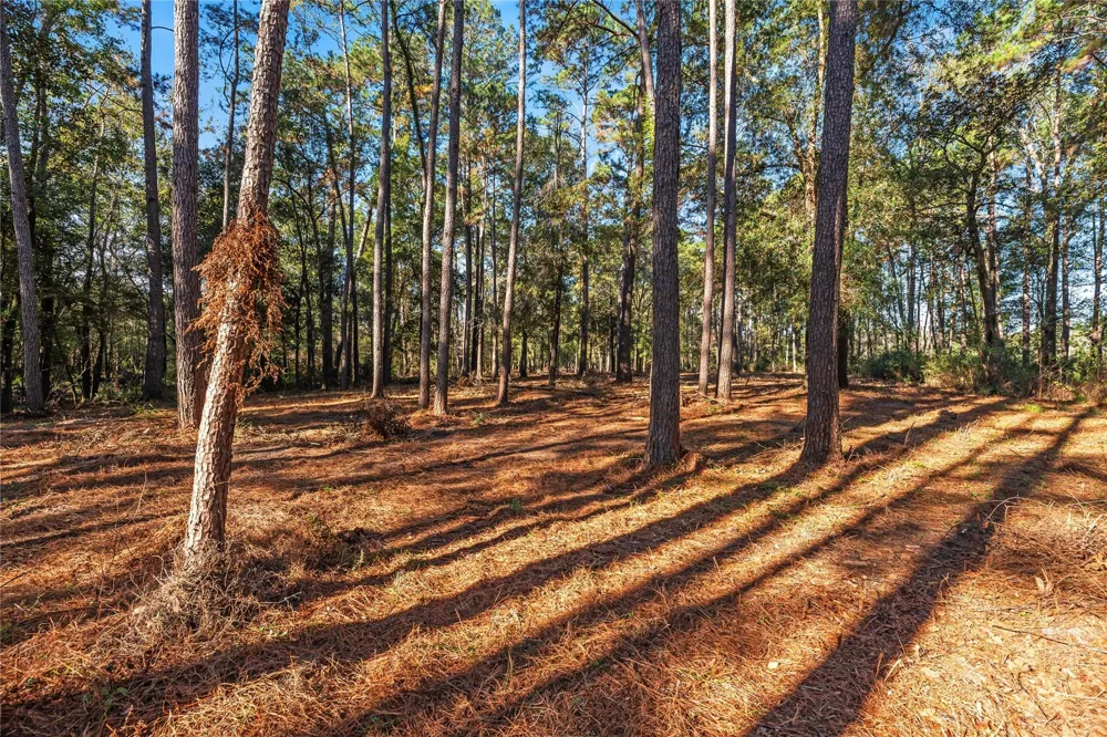 Fm 1485 Huffman, TX 77357