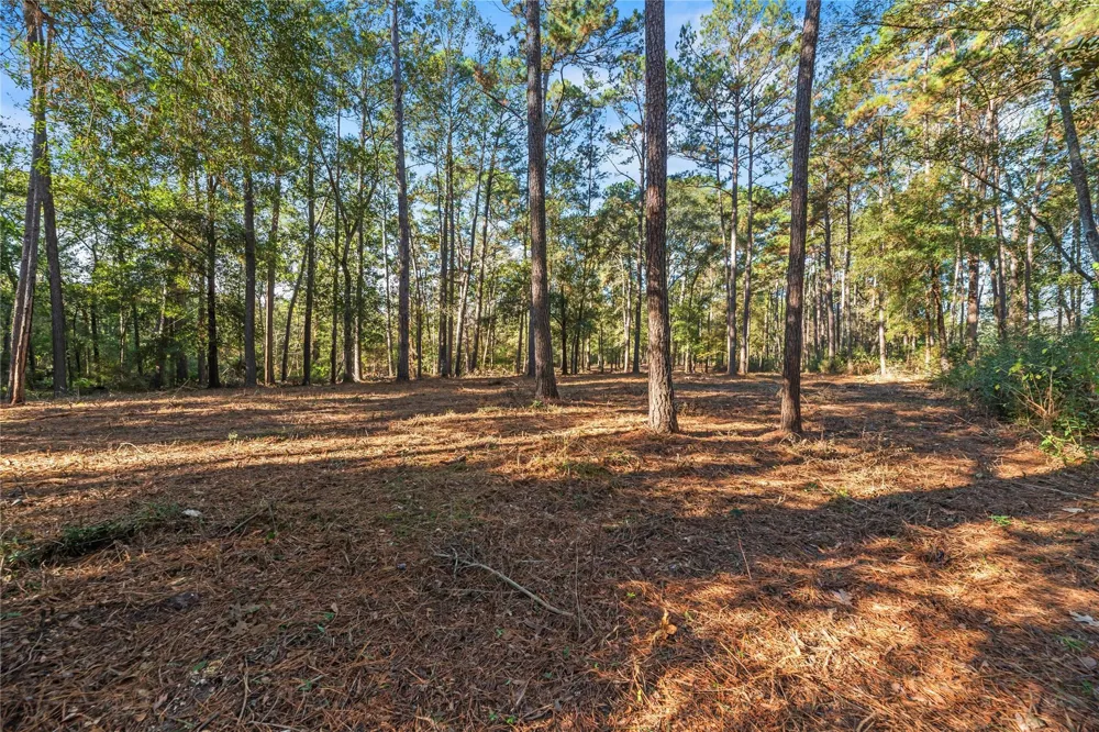 Fm 1485 Huffman, TX 77357