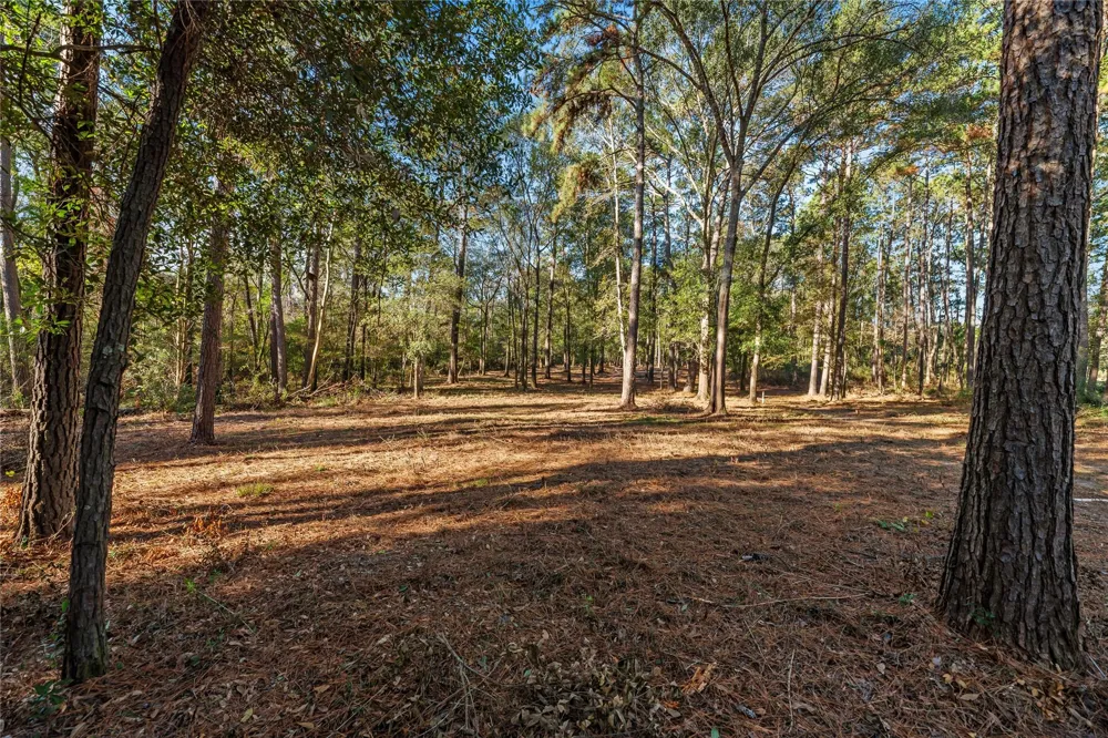 Fm 1485 Huffman, TX 77357
