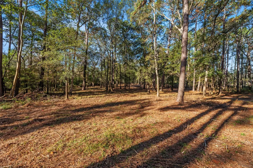 Fm 1485 Huffman, TX 77357