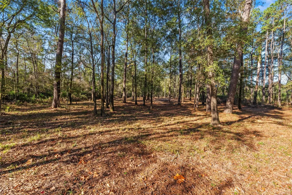 Fm 1485 Huffman, TX 77357