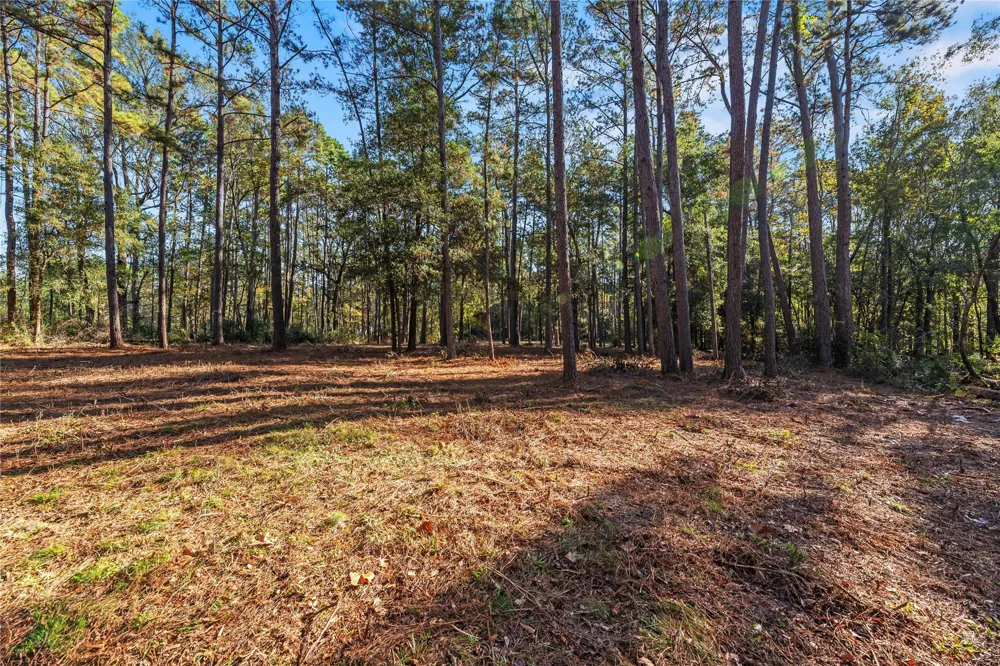 Fm 1485 Huffman, TX 77357