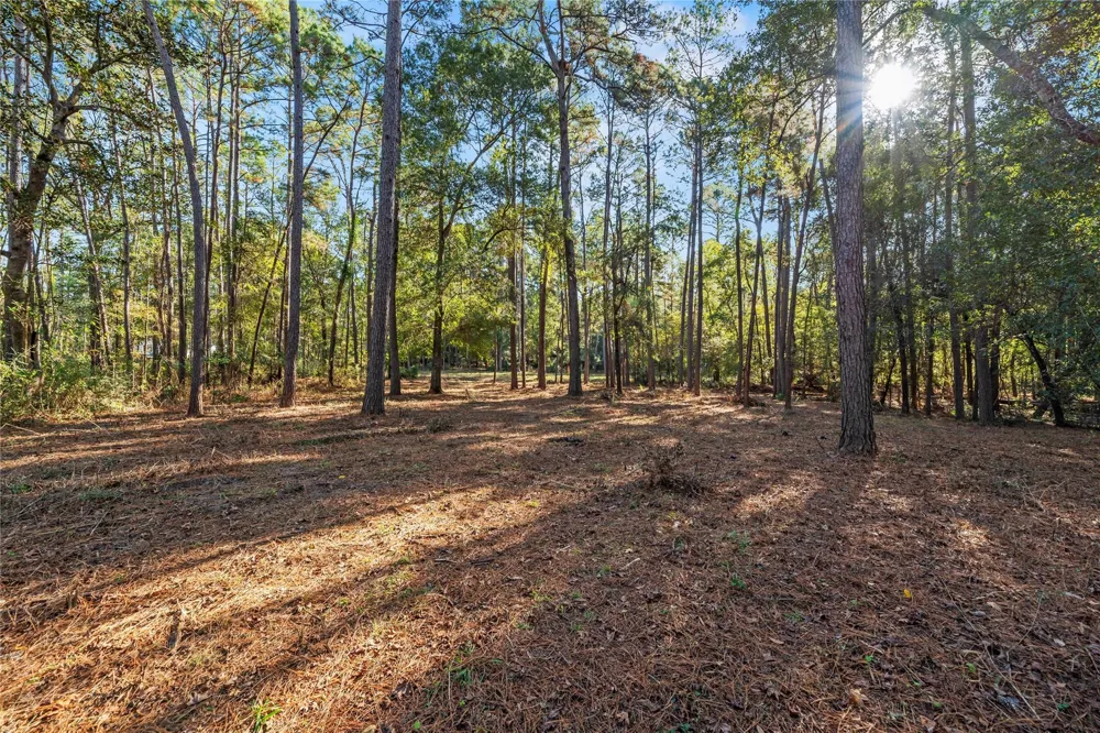 Fm 1485 Huffman, TX 77357