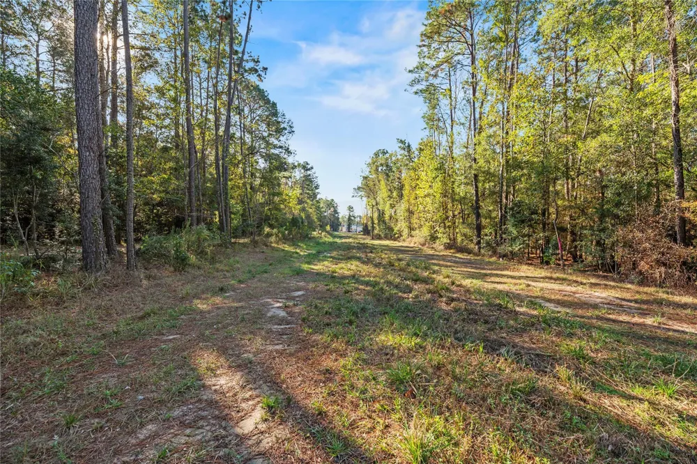 Fm 1485 Huffman, TX 77357