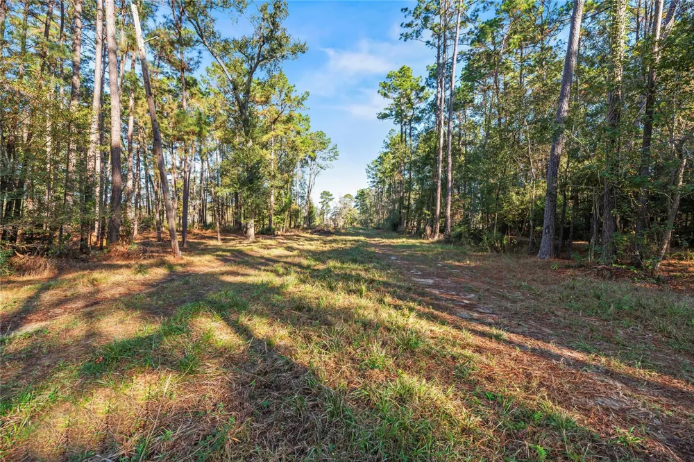 Fm 1485 Huffman, TX 77357
