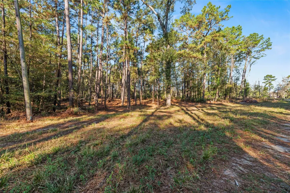 Fm 1485 Huffman, TX 77357
