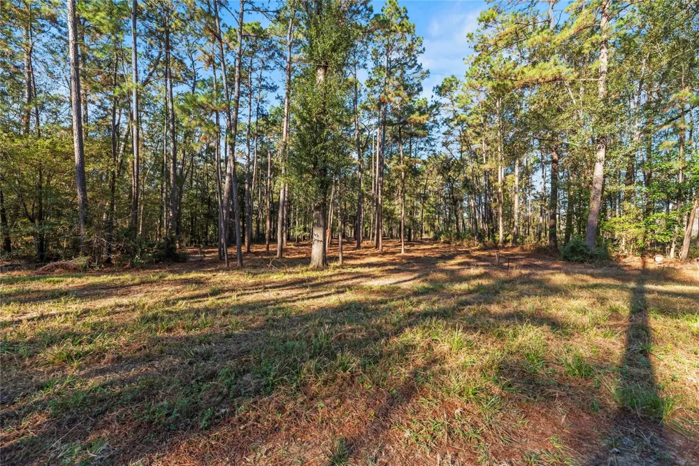 Fm 1485 Huffman, TX 77357