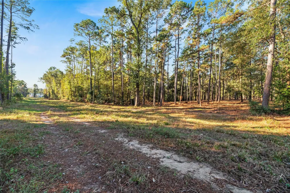 Fm 1485 Huffman, TX 77357