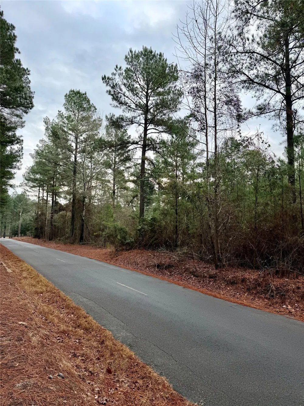 Hicks Road Benton, LA 71006