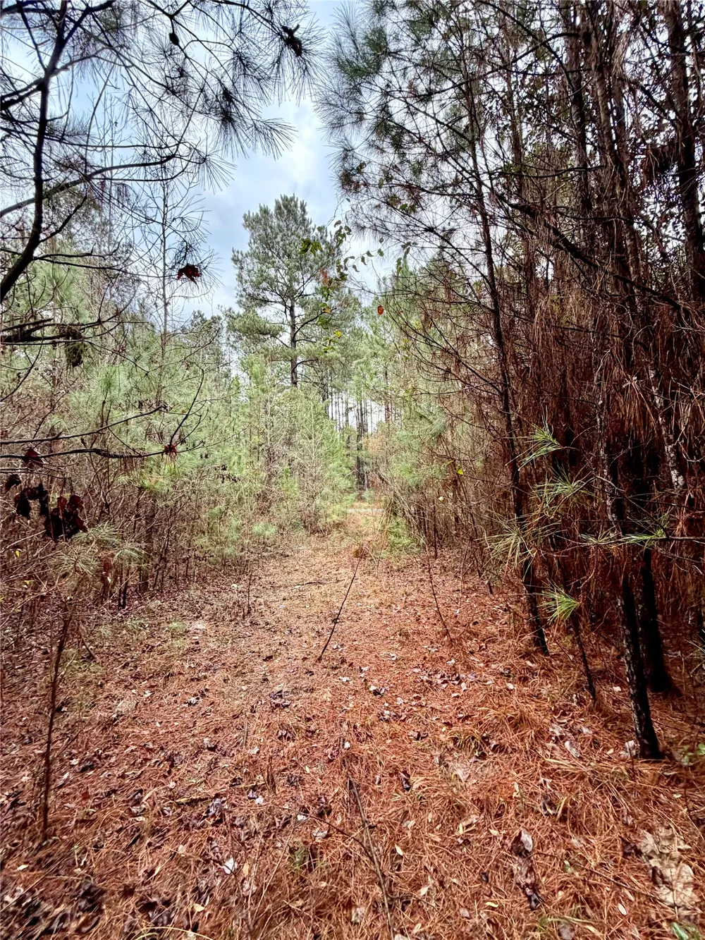 Hicks Road Benton, LA 71006