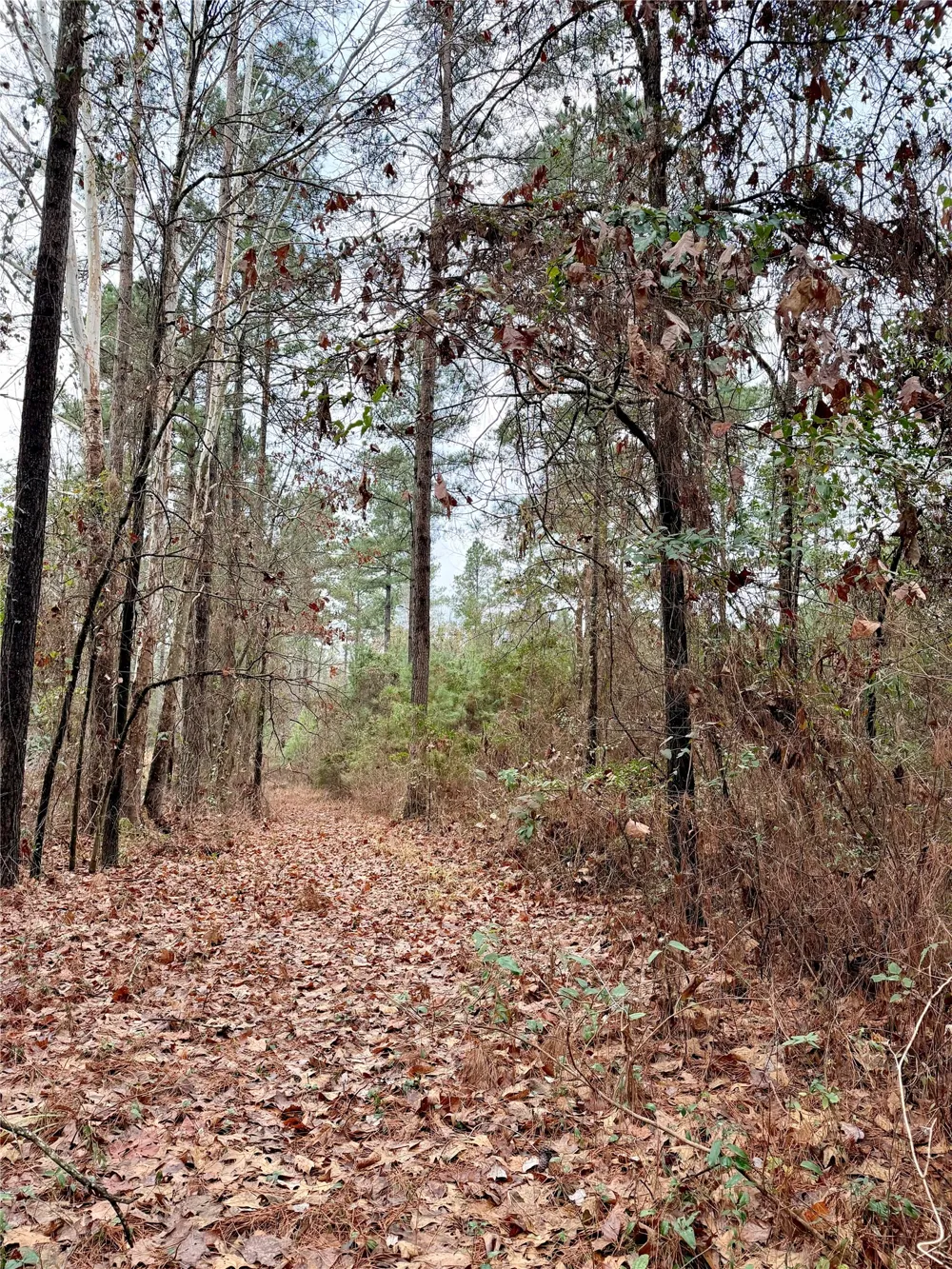 Hicks Road Benton, LA 71006