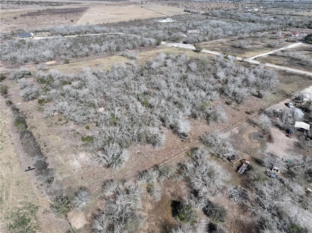 219 Nopal Drive Beeville, TX 78102