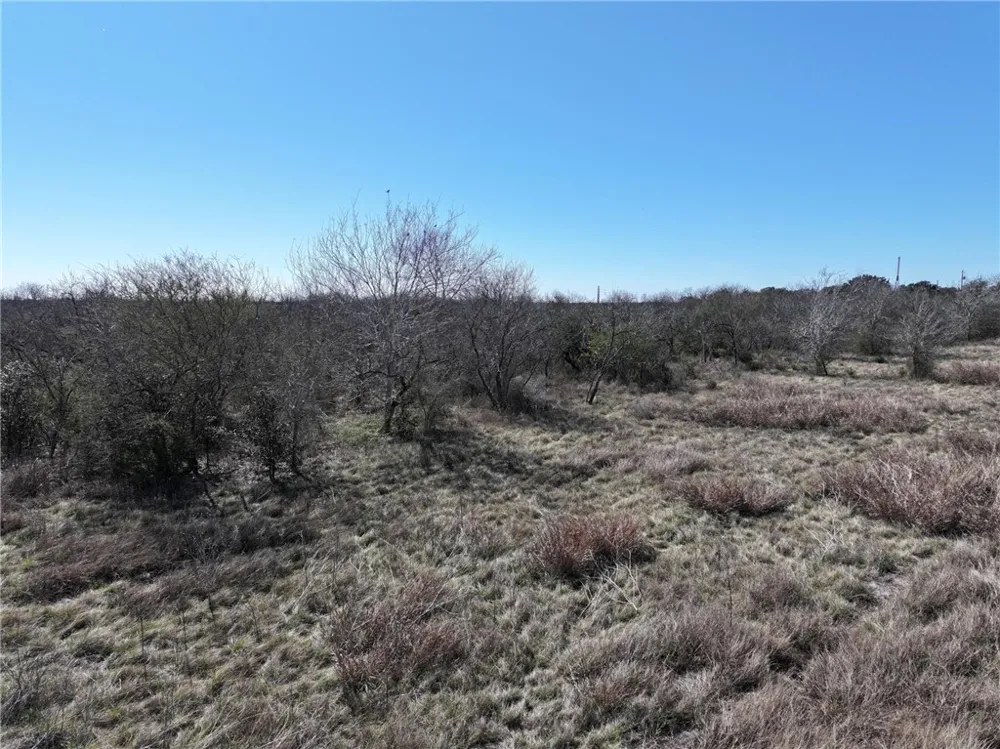 219 Nopal Drive Beeville, TX 78102