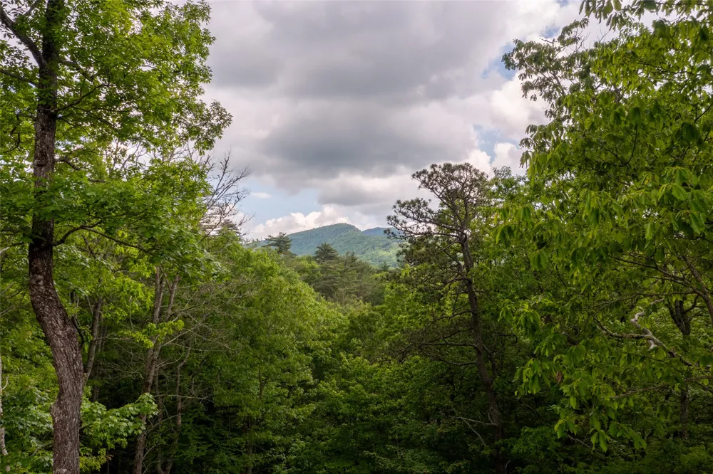 143 Foxglove Trail Glenville, NC 28736