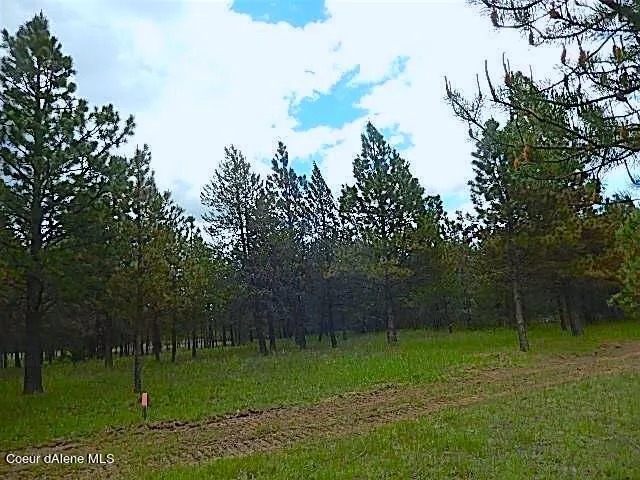 NKA HWY 95 Athol, ID 83801