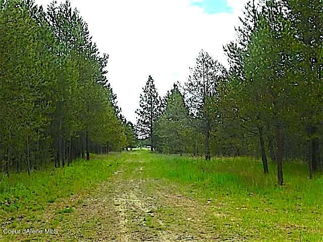 NKA HWY 95 Athol, ID 83801