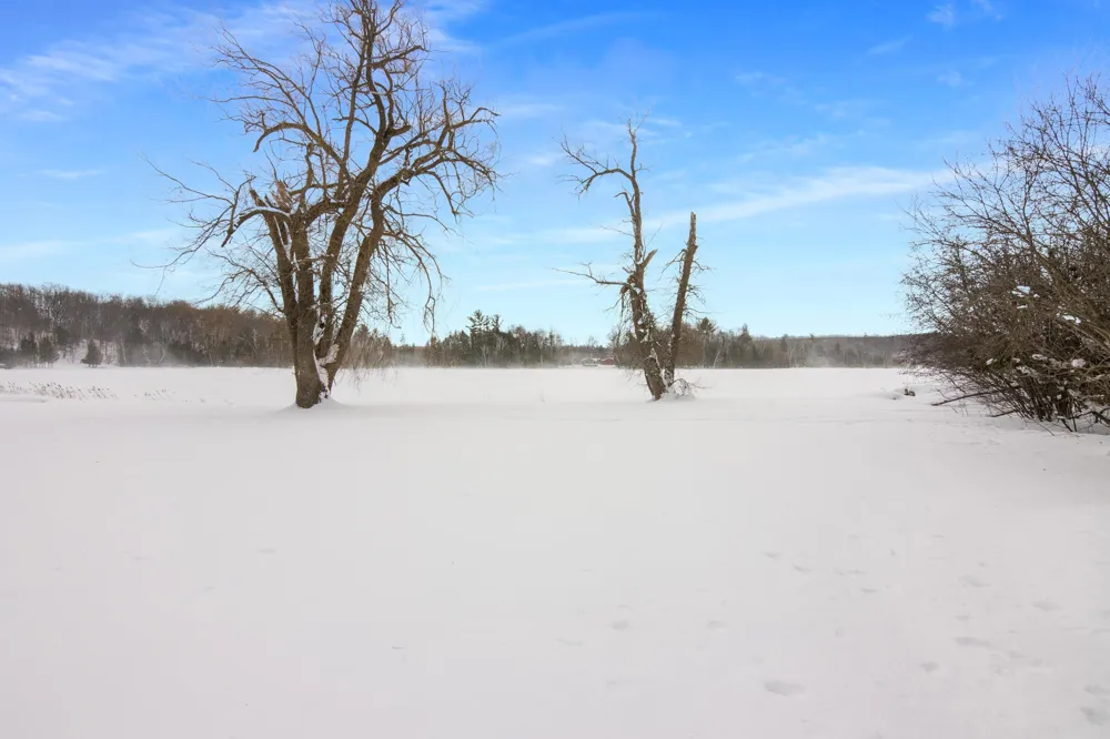 11641 Loon Lane Long Lake Township, MI 49685