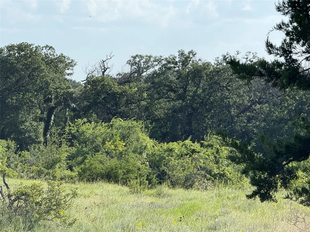 CR 620 Hamilton, TX 76531