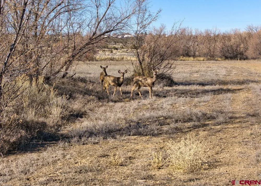7259 Road 25 Cortez, CO 81321
