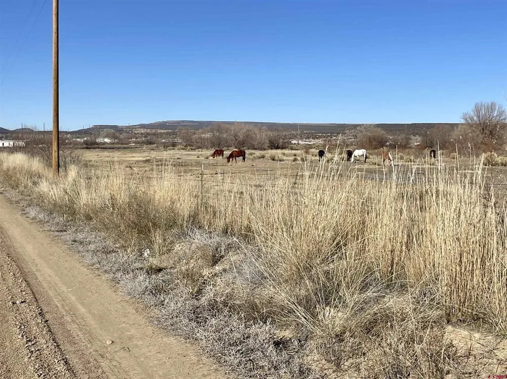 7259 Road 25 Cortez, CO 81321