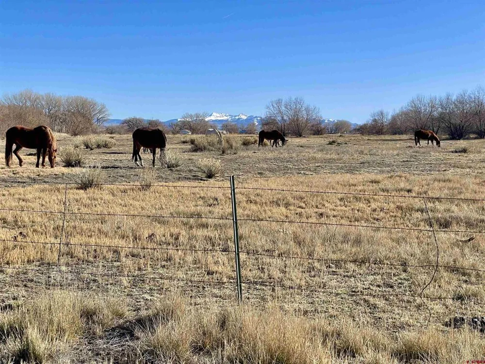 7259 Road 25 Cortez, CO 81321