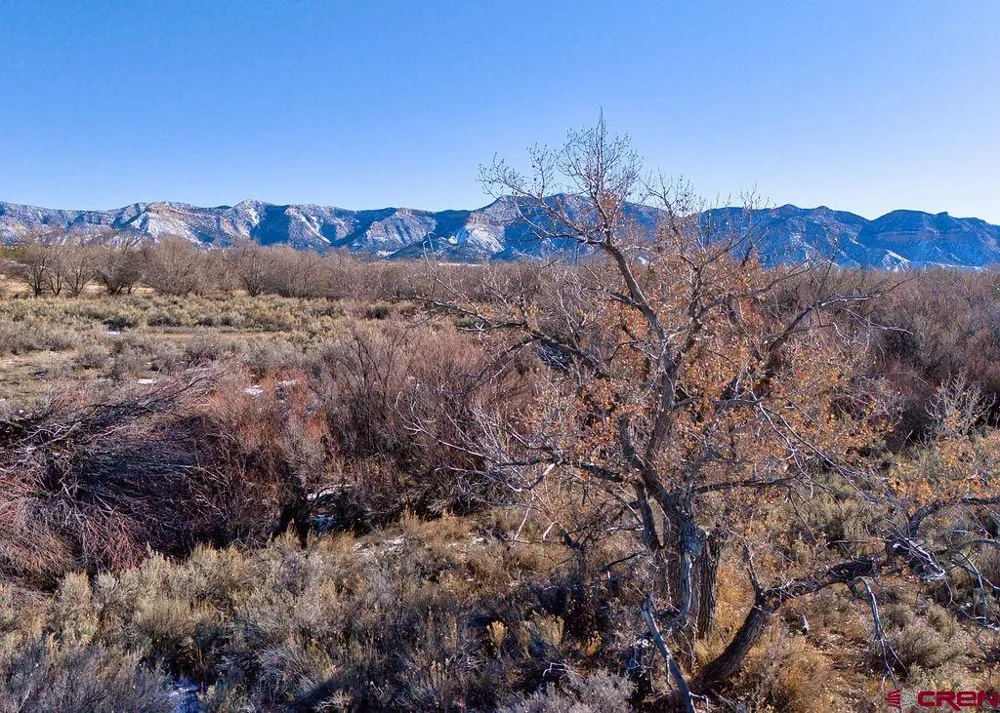 7259 Road 25 Cortez, CO 81321