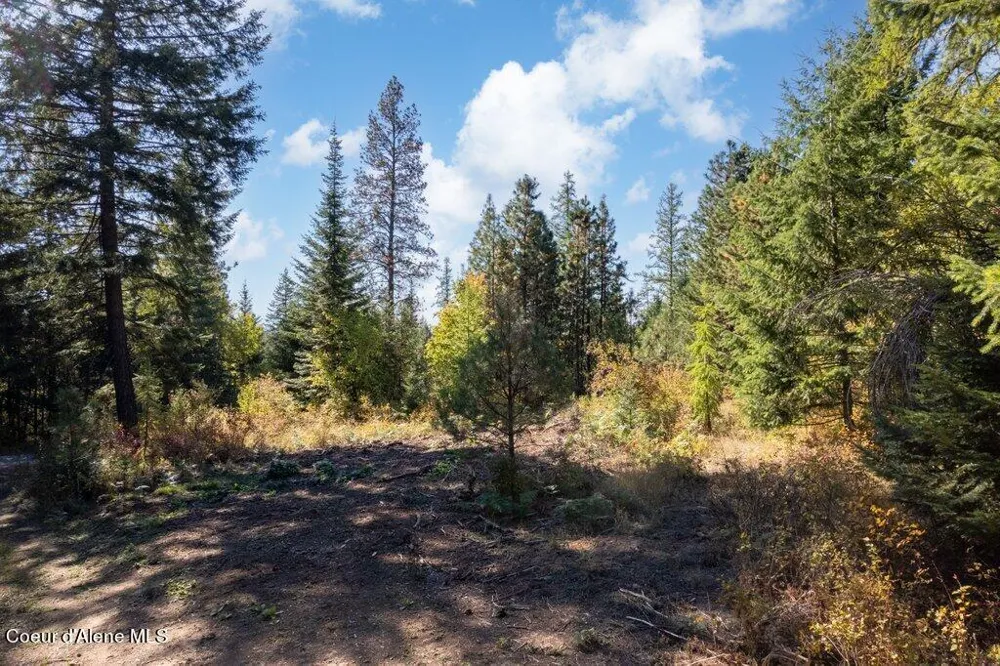 L3 Rimrock Ridge Estates Hayden, ID 83835