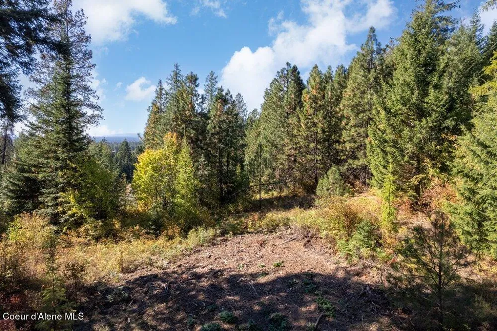 L3 Rimrock Ridge Estates Hayden, ID 83835
