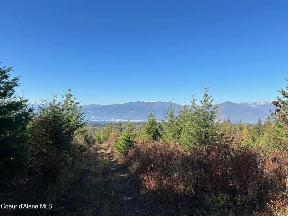 Tract G USFS 2222A Moyie Springs, ID 83845