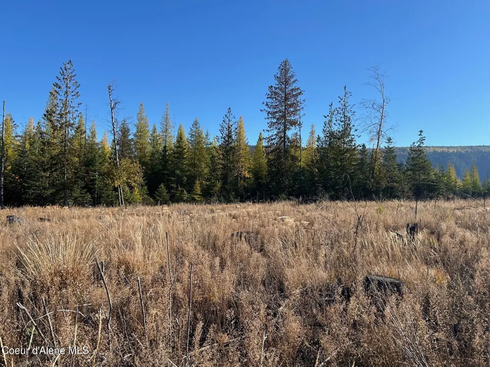 Tract G USFS 2222A Moyie Springs, ID 83845
