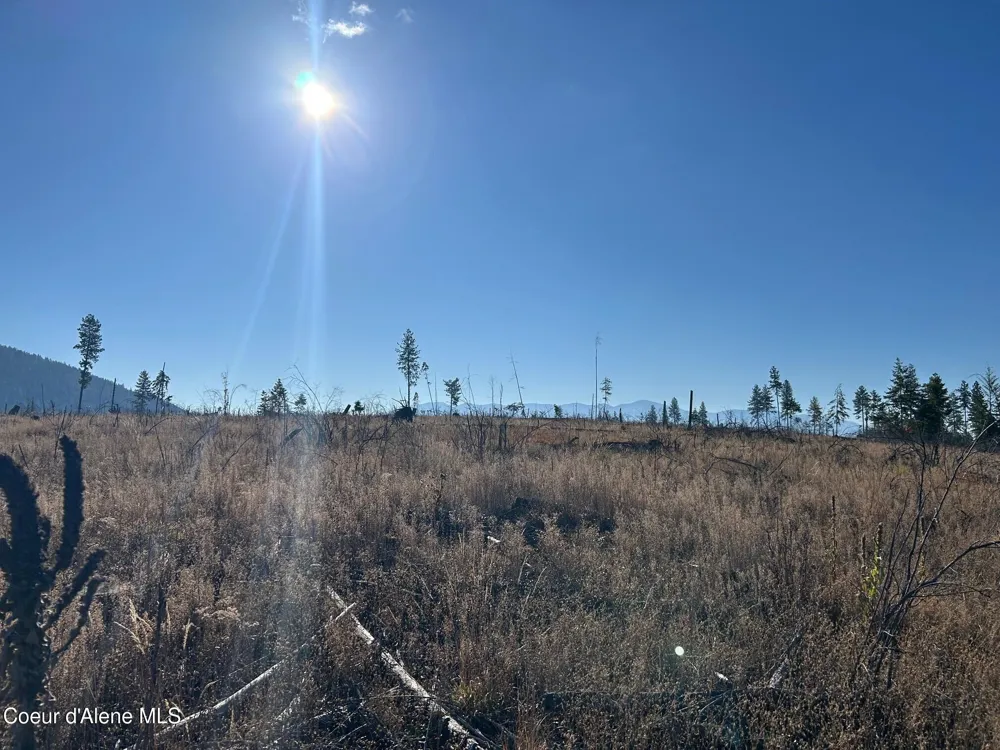 Tract G USFS 2222A Moyie Springs, ID 83845