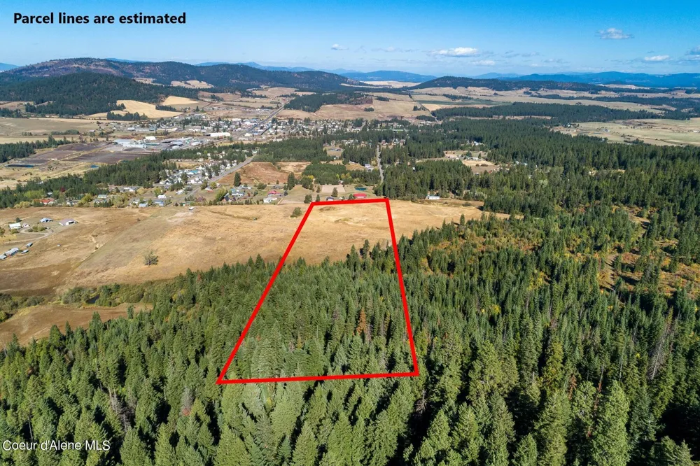 0 Thimbleberry Lane Plummer, ID 83851