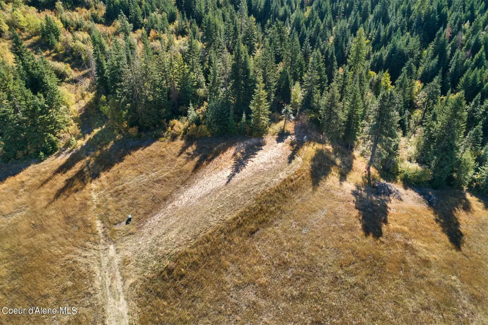 0 Thimbleberry Lane Plummer, ID 83851