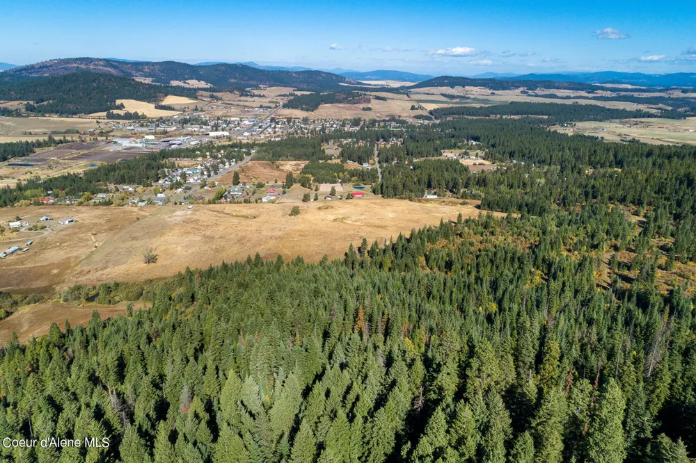 0 Thimbleberry Lane Plummer, ID 83851