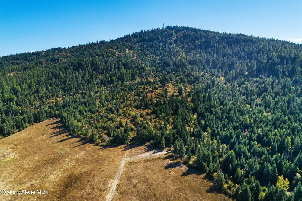 0 Thimbleberry Lane Plummer, ID 83851
