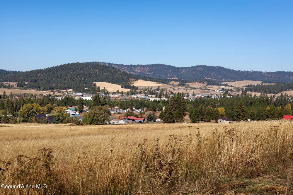 0 Thimbleberry Lane Plummer, ID 83851