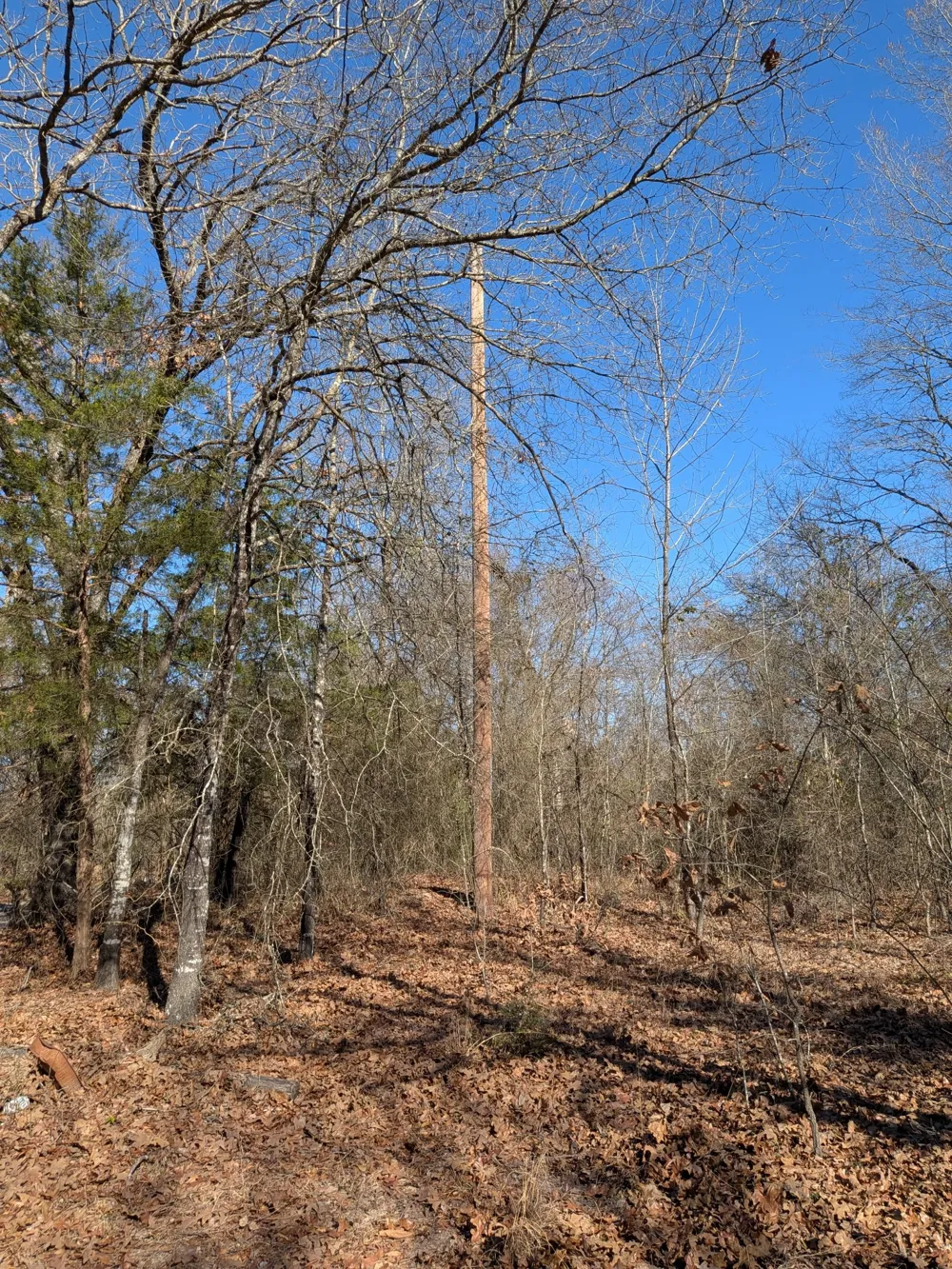179 RS County Road 2572 Alba, TX 75410