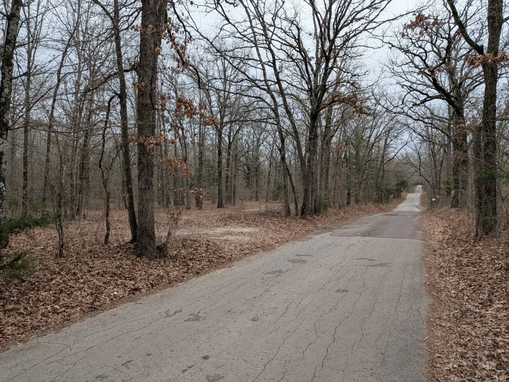 179 RS County Road 2572 Alba, TX 75410